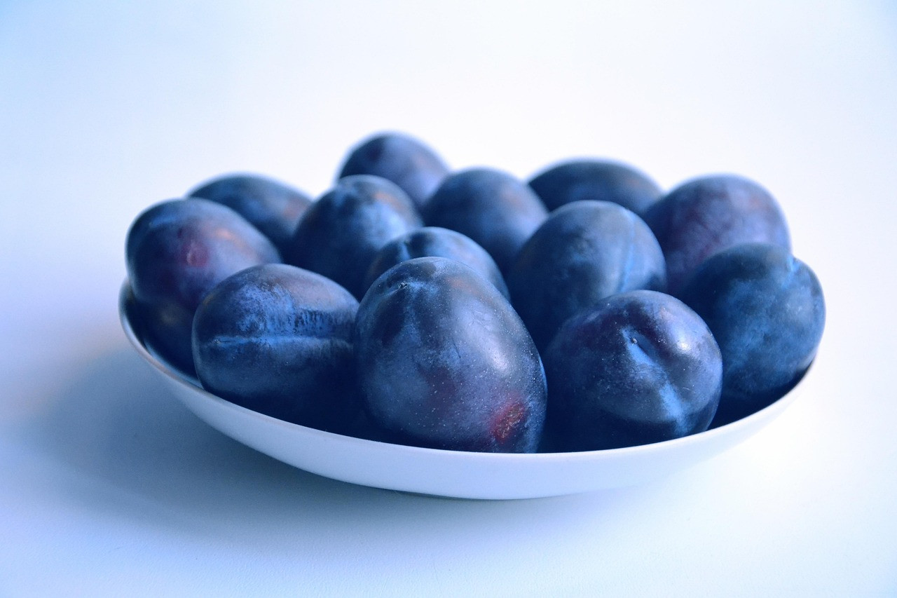 plum, fruit, food, vitamins, sweet, nutrition, delicious, ripe, plate, bowl, blue food, blue fruits, blue nutrition, plum, plum, plum, plum, plum