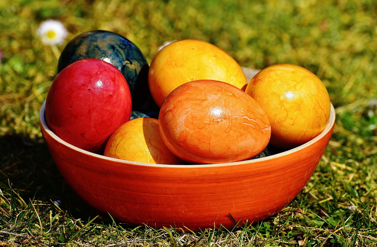 shell, eggs, colored, easter, happy easter, to dye, eggshell, multicoloured, food, easter eggs, coloured, colorful, boiled eggs, eggs, easter, easter, easter, easter, easter, easter eggs