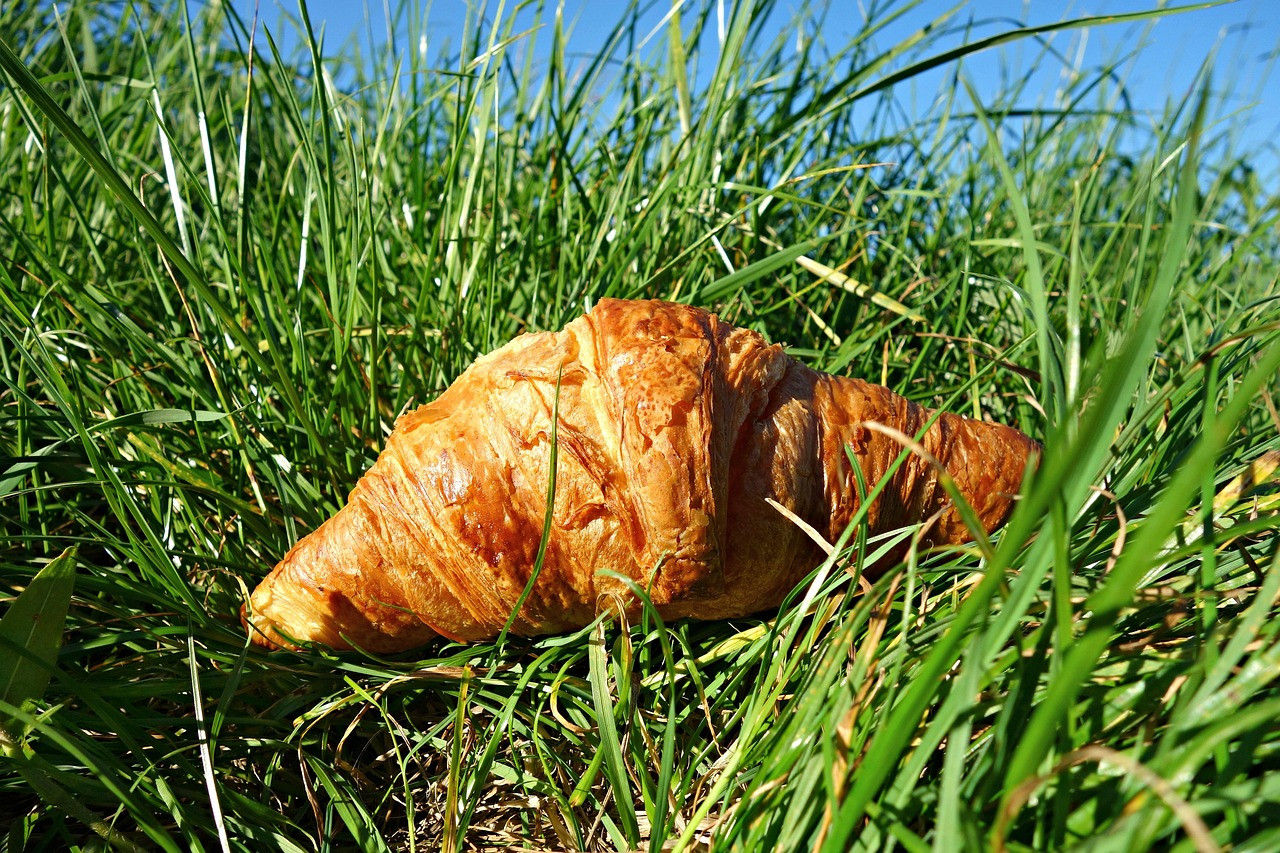 croissant, roll, bread, pastry, food, nutrition, breakfast, brown, croissant in the grass, picnic, grass, green bread, green nutrition, nature, green breakfast