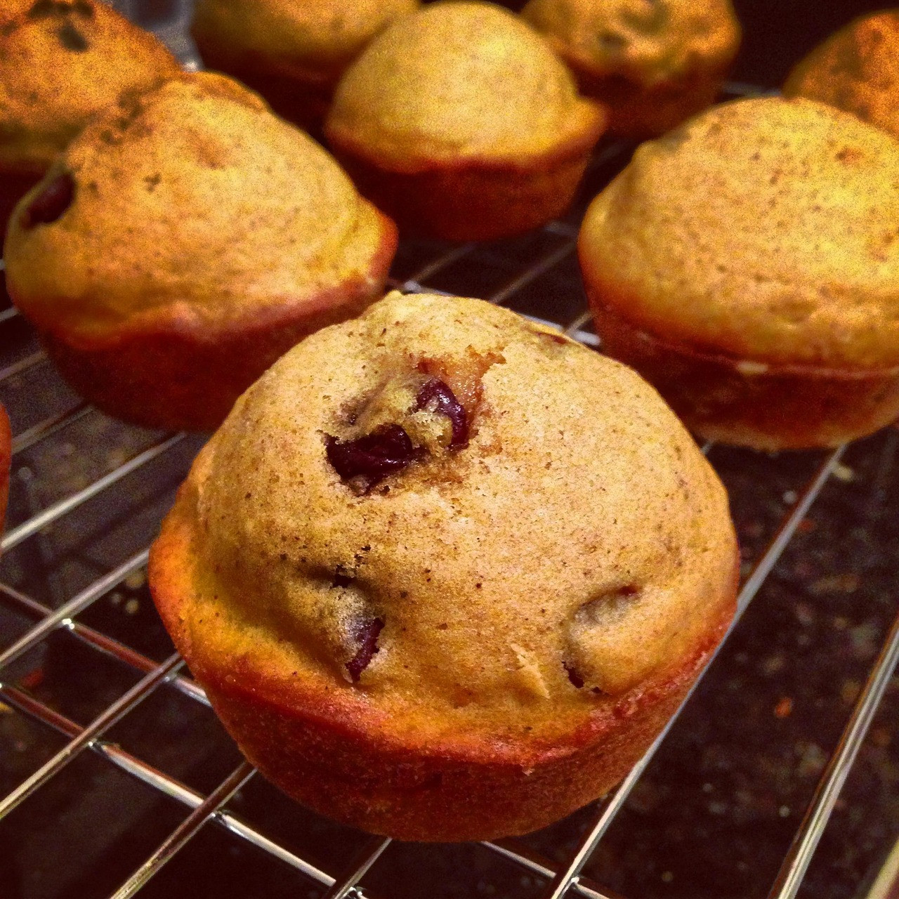 pumpkin pie, muffins, food, sweet, snack, homemade, baked, dessert, pastry, bread, cupcake, yummy, hot, seasonal, autumn, recipe, pumpkin pie, pumpkin pie, pumpkin pie, pumpkin pie, pumpkin pie