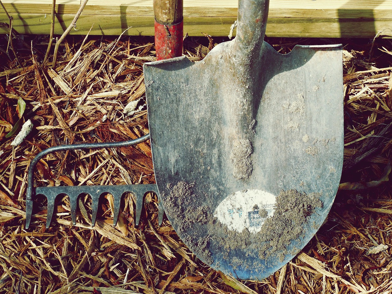 shovel, rake, dirt, nature, farm, garden, hand tools, labor, metal, tools