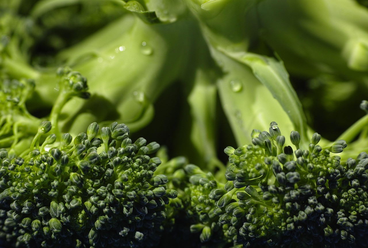 broccoli, organic, food, vegetable, green, healthy eating, vegetarian food, raw food, green food, green vegetables, broccoli, broccoli, broccoli, broccoli, broccoli, food