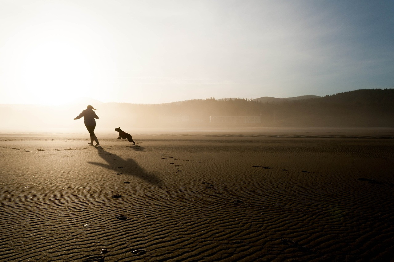 beach, 4k wallpaper, 4k wallpaper 1920x1080, dog, laptop wallpaper, nature, chase, full hd wallpaper, running, hd wallpaper, play, wallpaper hd, mac wallpaper, free wallpaper, fun, happy, cool backgrounds, animal, joy, nature background, pet, friendship, wallpaper 4k, nature wallpaper, beautiful nature, free background, windows wallpaper, desktop backgrounds, beautiful wallpaper, relationship, wallpaper