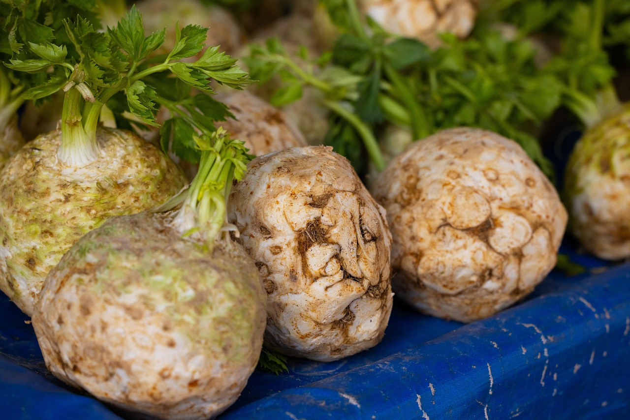 celeriac, celery roots, knob celery, vegetables, market, fresh produce, celeriac, celeriac, celeriac, celeriac, celeriac