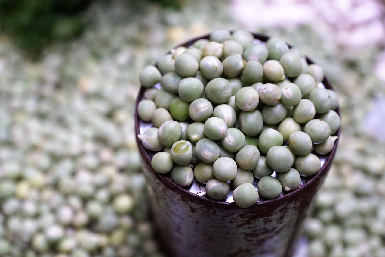 peas, green, bio, fresh, vegetables, food, healthy, diet, nourishment, vegan, market, madagascar, sale, soup, round, lots, majority, thousand, one hundred, can, sheet, dish, snack, yummy, taste