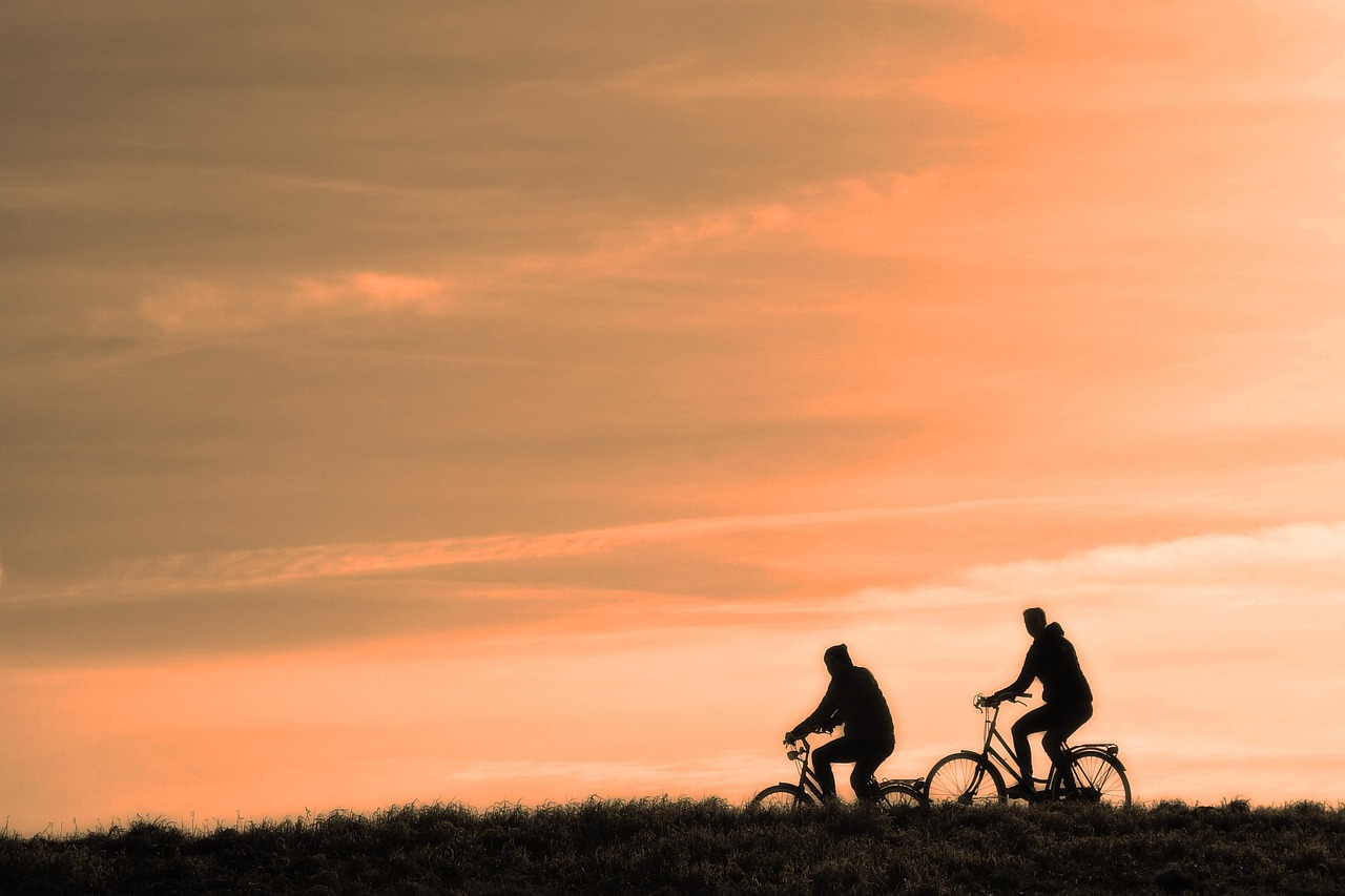 cyclist, person, people, men, bicycle, nature, cycling, exercise, active, travel, transport, ride, bicycle ride, road, sunset, silhouette