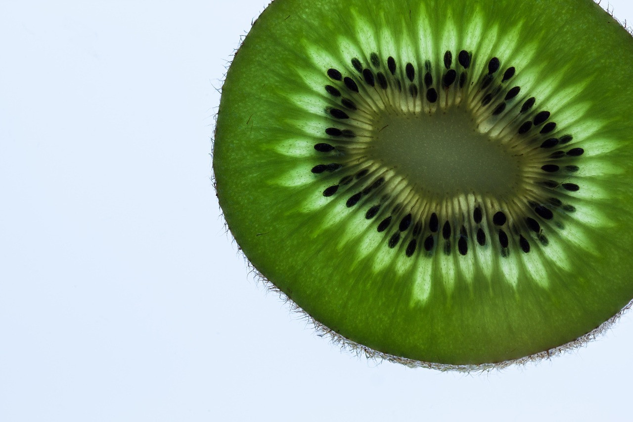 kiwi, fruit, green, fresh, transmitted light, macro, ripe, cross section, kiwi half, close up, kiwi seeds, kiwi, kiwi, kiwi, kiwi, kiwi
