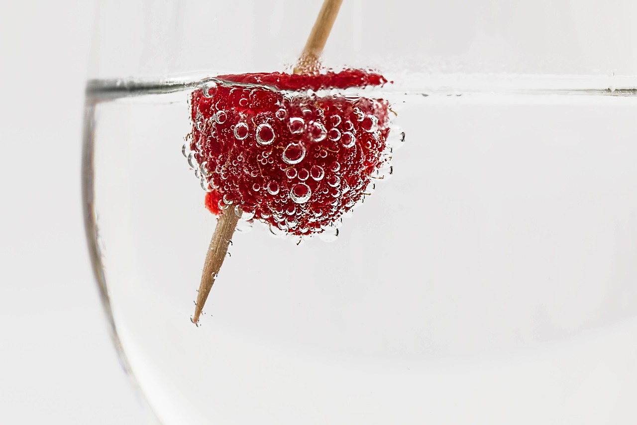 cocktail, drink, glass, alcohol, nature, beverage, bar, liquor, ice, cold, vodka, refreshment, cool, summer, refreshing, berry, soda water, bubble, raspberry