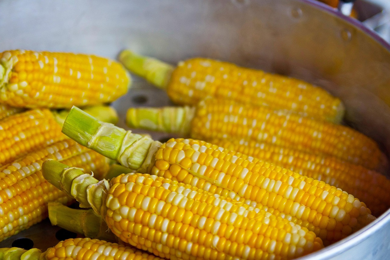 pop corn, yellow, popcorn, food, nutrition, eat, ingredient, corn, corn, corn, corn, corn, corn