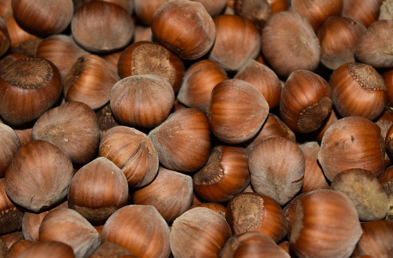 peanuts, hazelnuts, hazelnut, food, walnuts, bowls, brown, texture, fruit, meal, natural, fruits