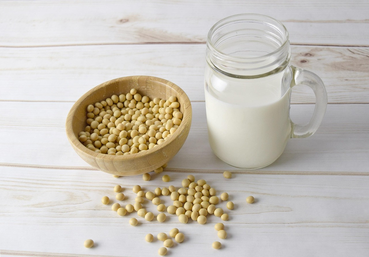 soy milk, soy, soybean, soy-milk, organic, seed, healthy, beverage, soy milk, soy milk, soy milk, soy milk, soy milk, soy, soy, soybean