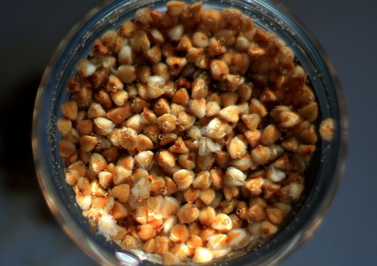 buckwheat, porridge, groats, food, cereals, nutrition, diet, useful, healthy, breakfast, grains, vegetarian, delicious, corn, seed, macro, buckwheat, buckwheat, buckwheat, buckwheat, buckwheat