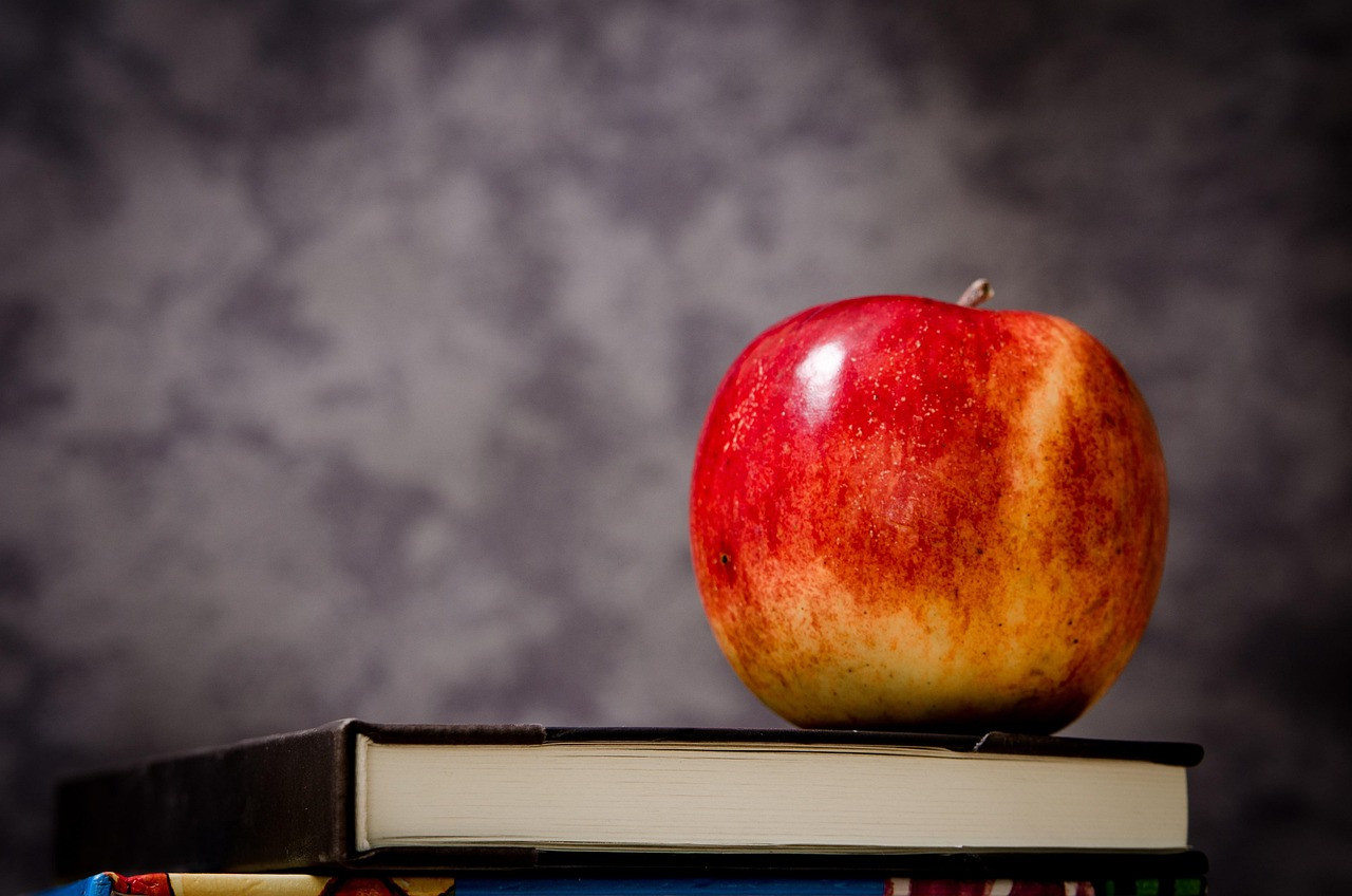 apple, book, still life, red apple, red fruit, ripe, fruit, food, literature, apple, apple, apple, apple, apple, still life