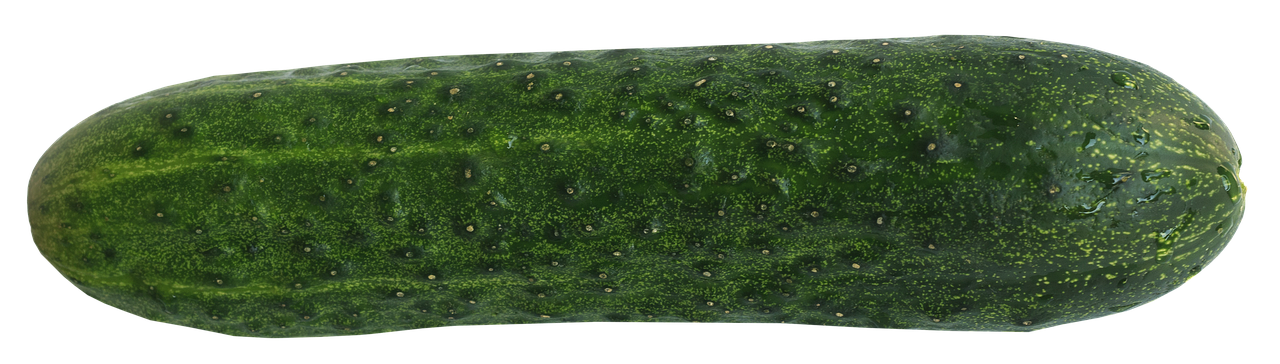 cucumber, food, nature, healthy, meal, garden, raw food, vegetables, cucumber salad, snake pickle, nourishment, salad, isolated