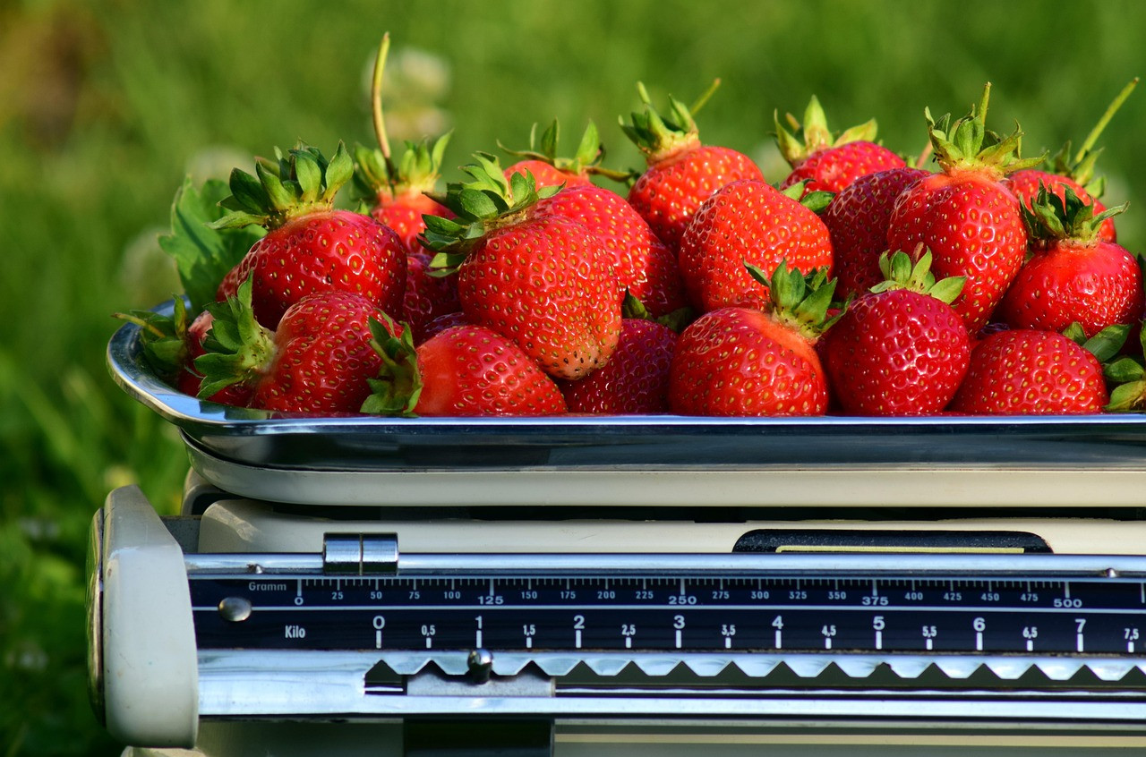 libra, strawberries, weigh, weight, fresh, harvest, kitchen scale, household scale, fruit, vitamins, red, weigh out, old scale, kilogram, pan, measure up, kitchen appliance, metal, household, control, weight control, purchasing, biography work, kitchen scale, kitchen scale, kitchen scale, kitchen scale, kitchen scale