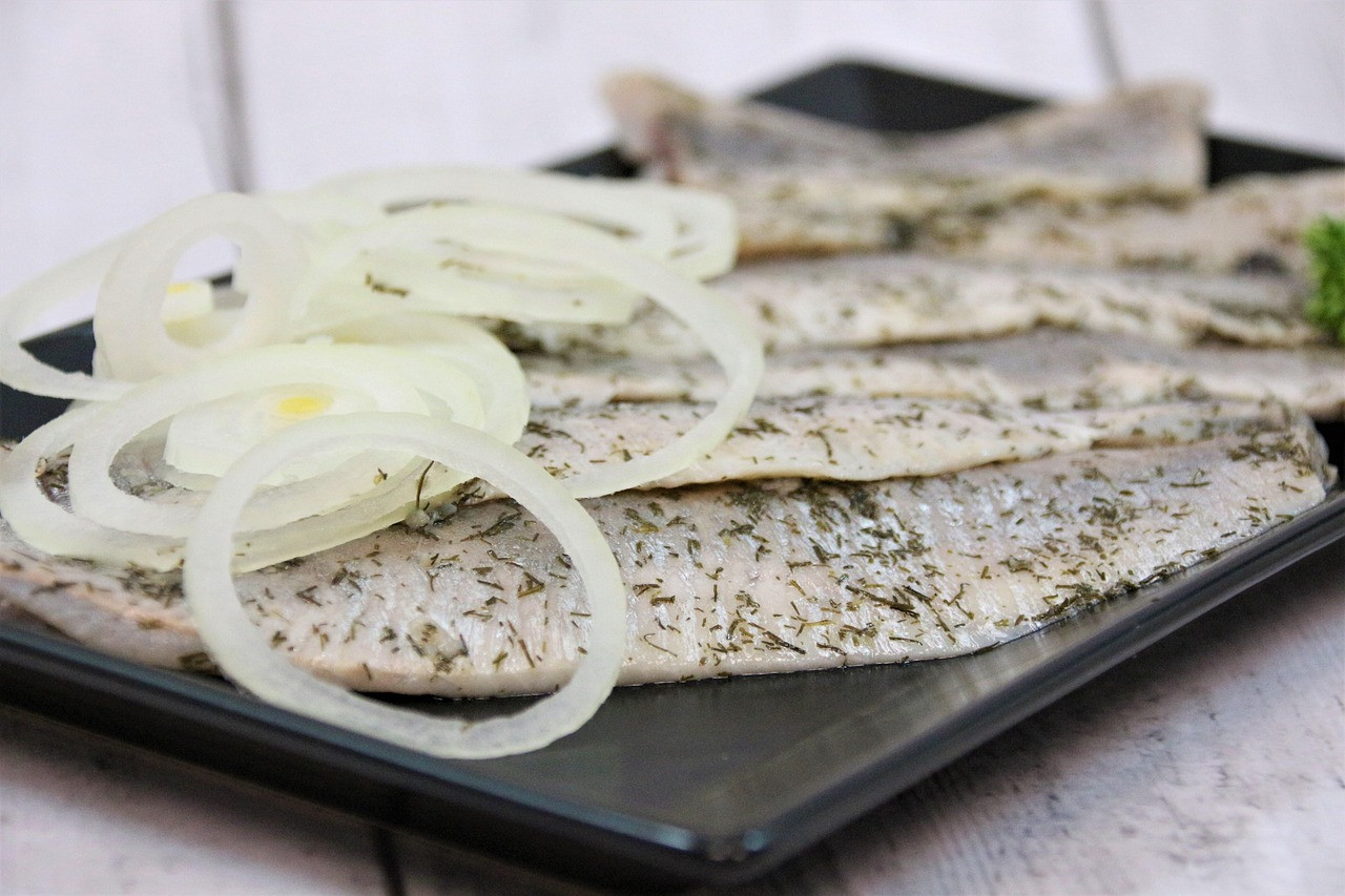 fish, maties, fresh, herring, fish rolls, meal, healthy, appetizing, yummy, food, gourmet, enjoy the meal, nature, plate, delicacy, hunger