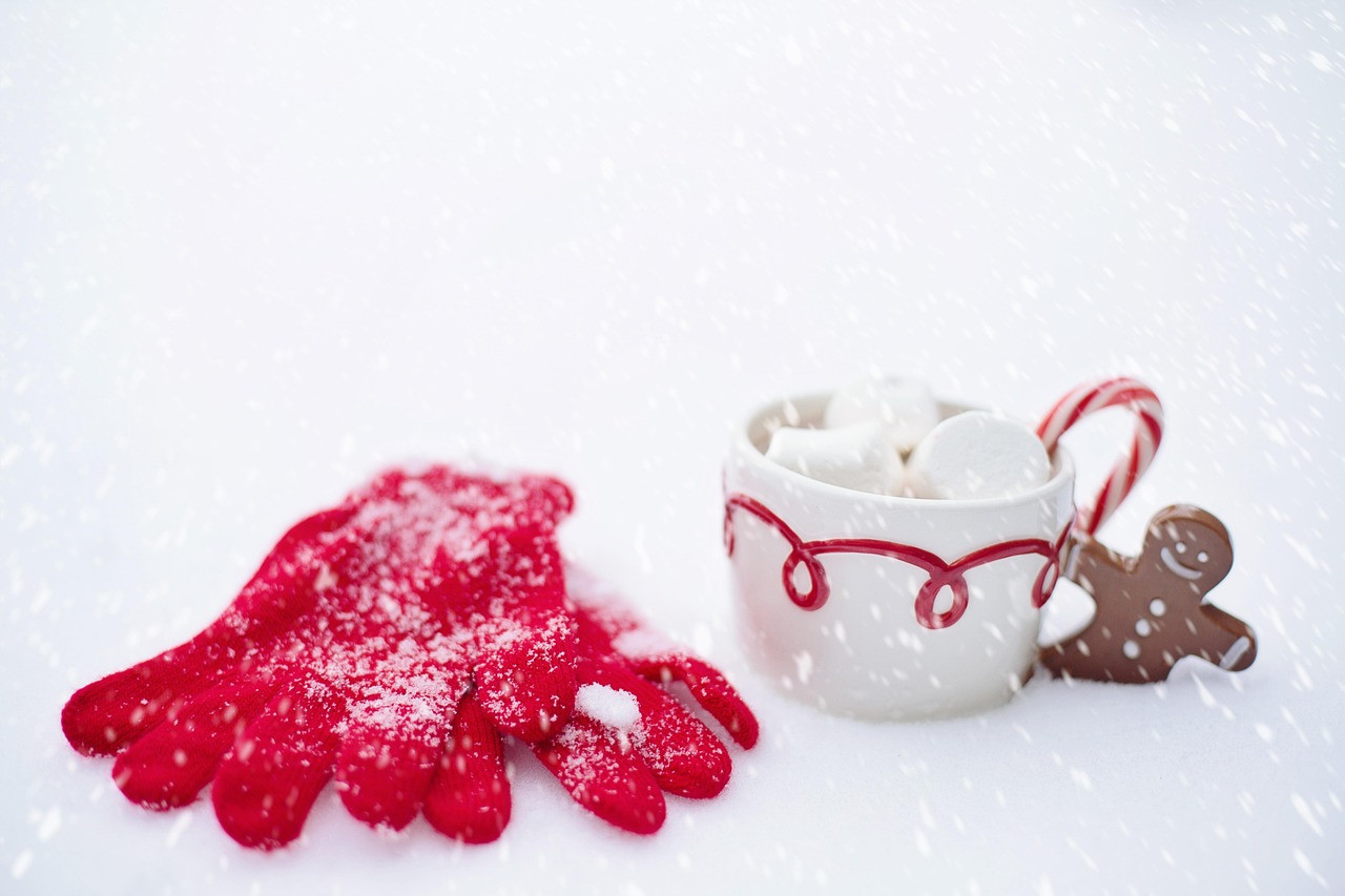 hot chocolate, snow, winter, chocolate, nature, hot, cup, drink, marshmallow, christmas, cocoa, mug, warm, cozy, snowy, comfort, warm and cozy