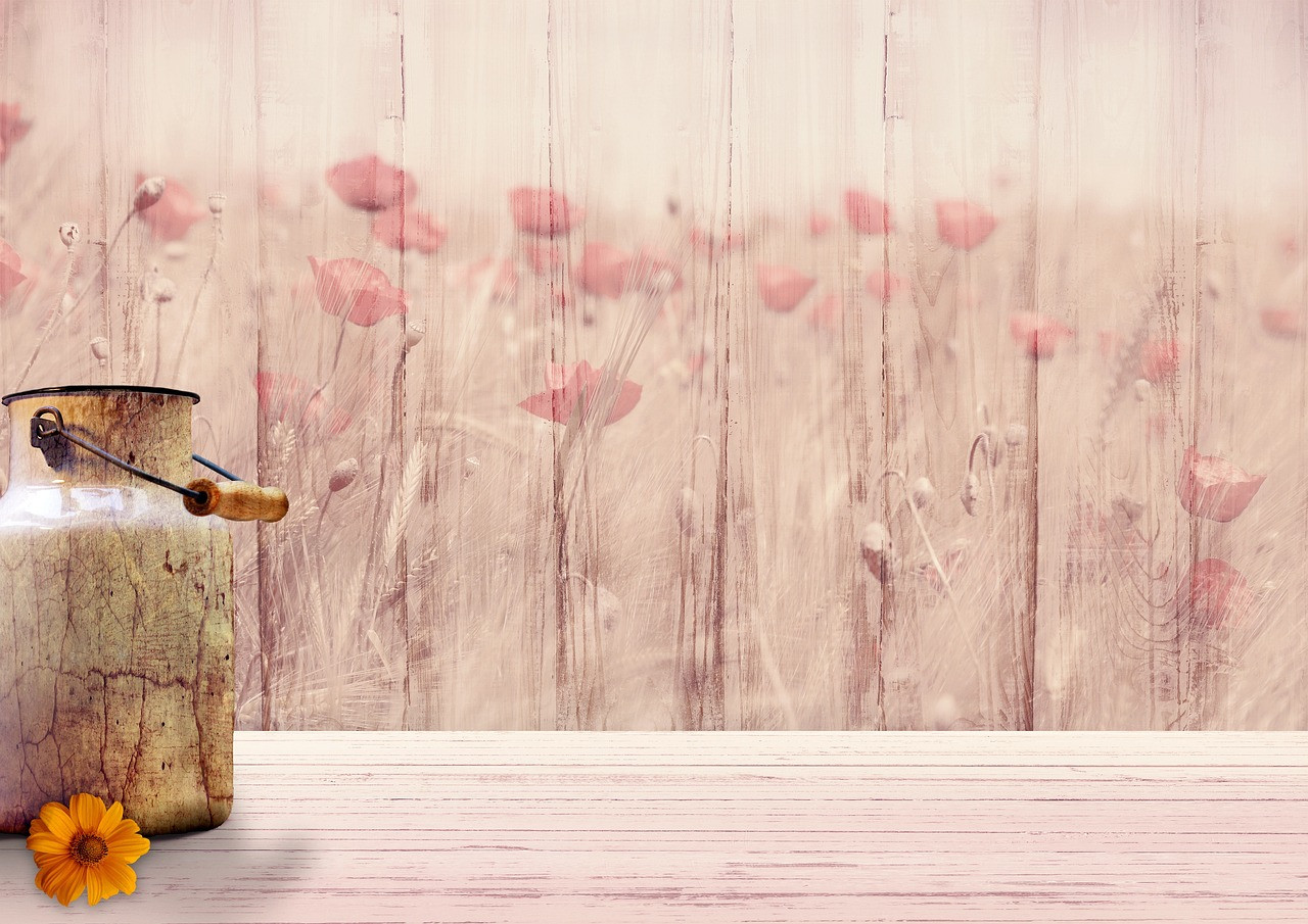 background image, floral background, flower, milk can, corn poppy, wood, structure, texture, field of flowers, beautiful wallpaper, rustic, translucent, on top of it, romantic, abstract, old, hd wallpaper, rusty, weathered, laptop wallpaper, deco, desktop backgrounds, free background, decorative, wallpaper 4k, background, 4k wallpaper 1920x1080, wallpaper hd, flower wallpaper, template, wooden wall, full hd wallpaper, beige, vintage, free wallpaper, greeting card, 4k wallpaper, digital map, flower background, congratulation, windows wallpaper, mac wallpaper, cool backgrounds, birthday card, nature, picturesque, ambience, mood, beautiful flowers, atmospheric, postcard, floral, copy space