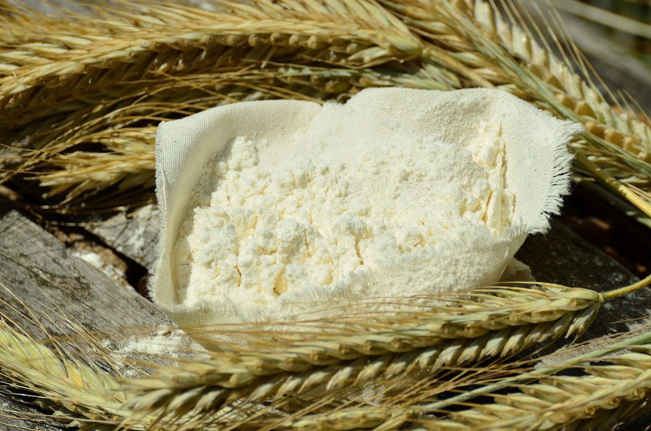 flour, grain, barley, spike, corn stalks, staple food, close up, food, flour, flour, flour, flour, flour