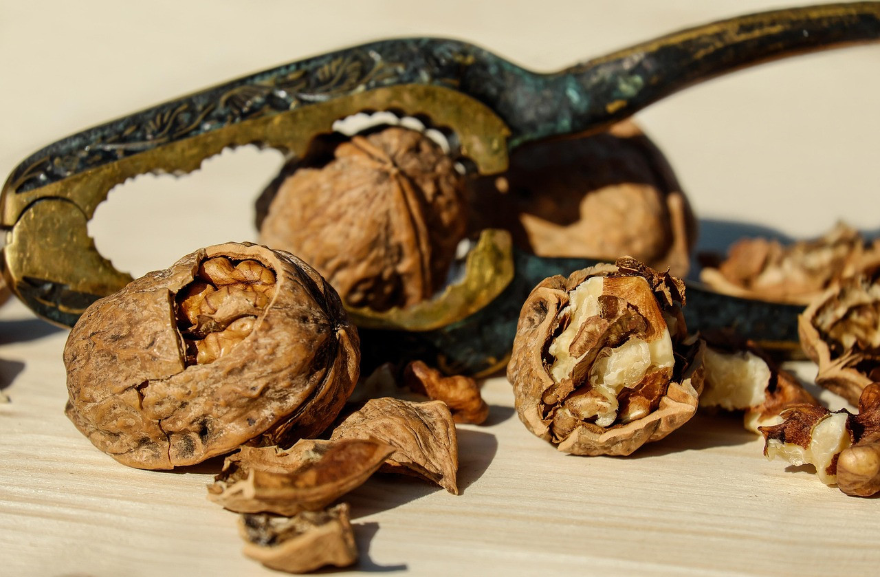 walnut, nut, brown, nuts, food, healthy, nutcracker, crack, to open, shell, nut kernel, meal, walnut, walnut, walnut, walnut, walnut, nut, nuts