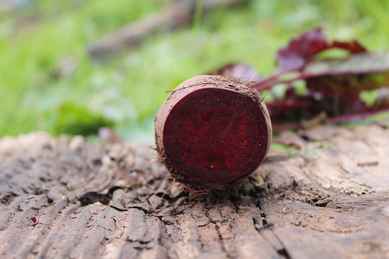 beetroot, red, beet, vegetables, food, healthy, vegan, fresh, vegetarian, vitamins, eat, nutrition, beets, turnip, cook, harvest, bio, delicious, kitchen, soup, starter, produce, edible, beetroot, beetroot, beetroot, beetroot, beetroot, beet, beet, beet, beets, beets