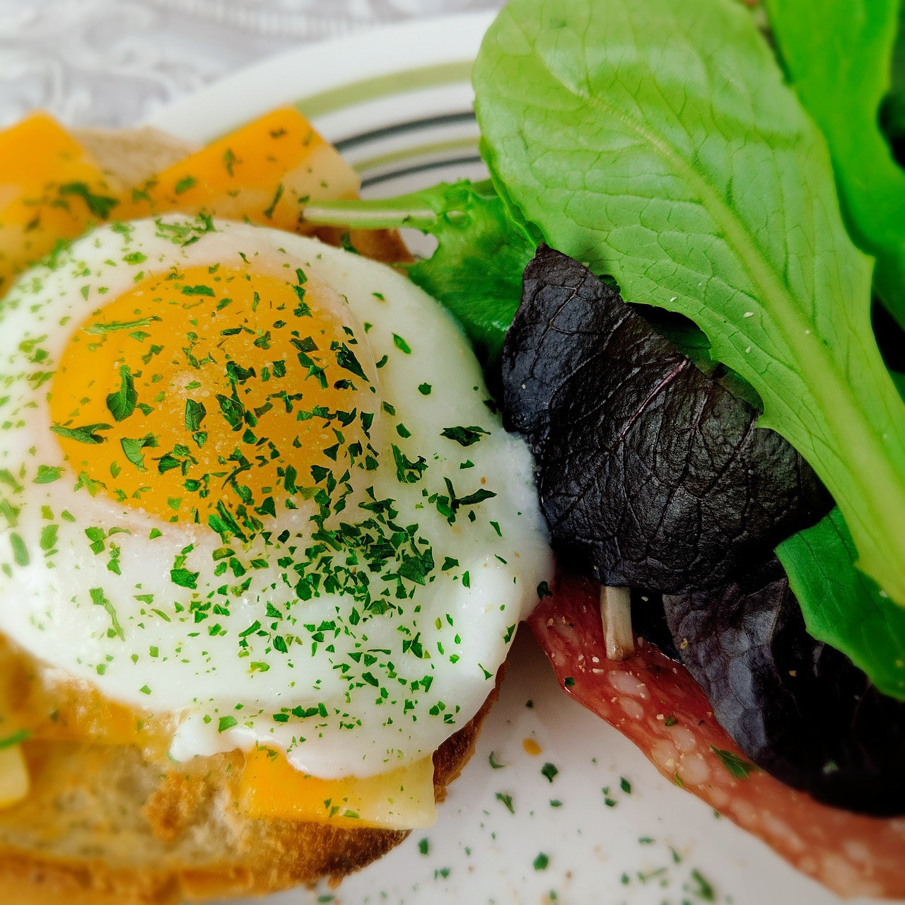egg, bagel, breakfast, greens, fresh, healthy, vegetarian, lunch, nutrition, natural, diet, leaf lettuce, bagel, bagel, bagel, bagel, bagel