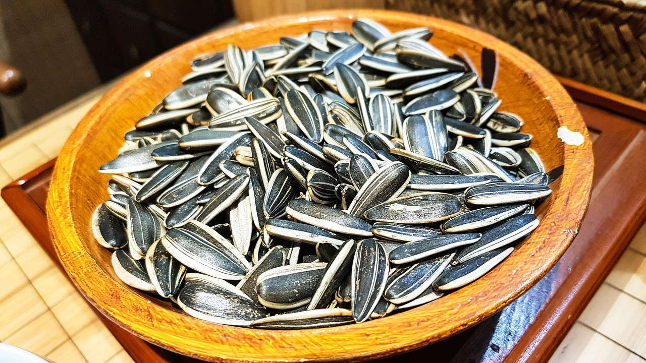sunflower seed, seed, nature, sunflower, plant, china