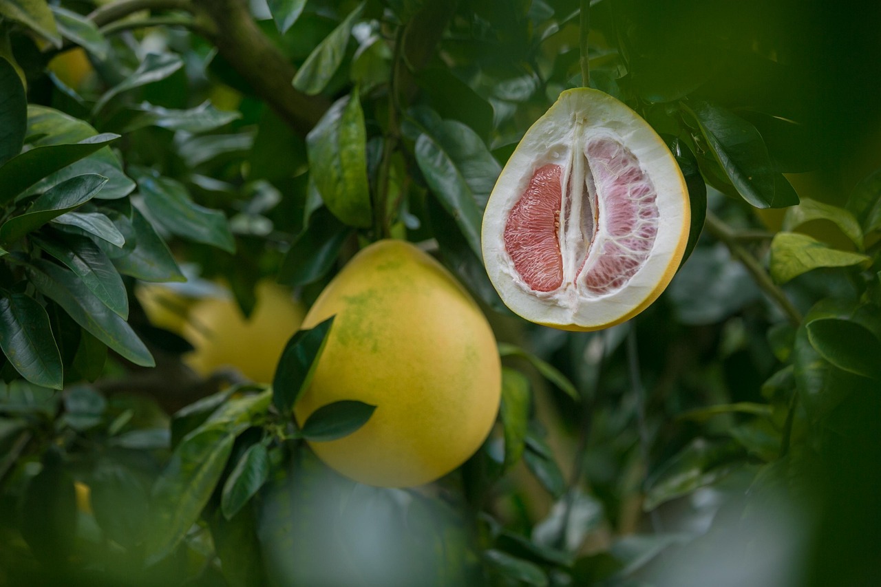 Pomelo: Ile Ma Kalorii? Niskokaloryczna Bomba Witaminowa!