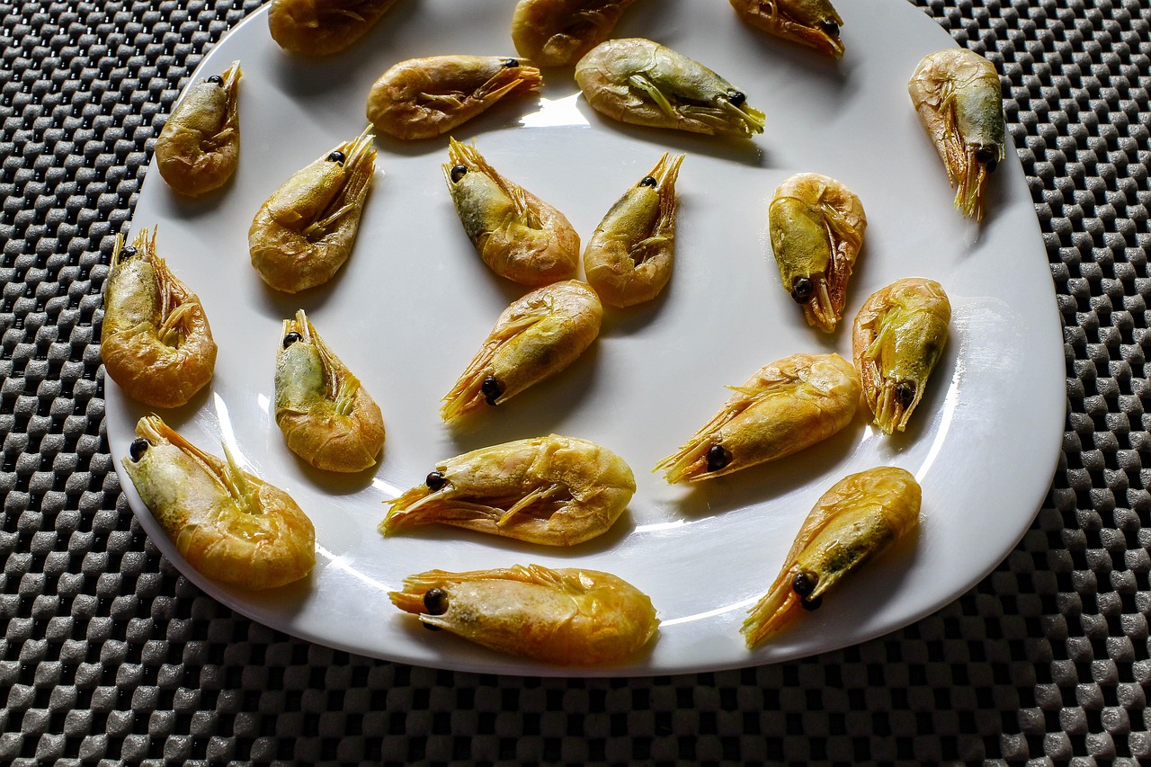 jedzenie, seafood, shrimp, biały, płyta, boiled, poziomy, photo, smaczny, cook, circle