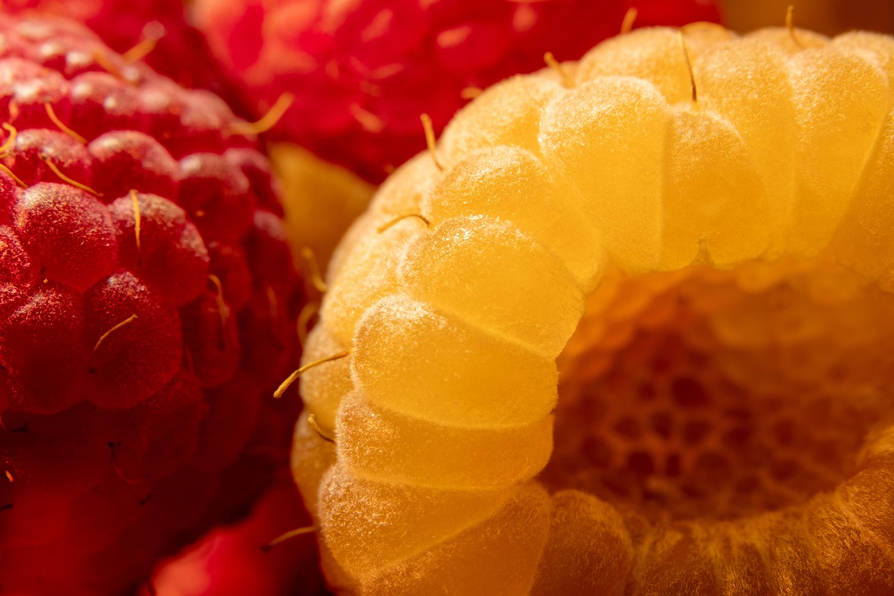 Malina Ile Kalorii? Odkryj Wartości Odżywcze I Korzyści!