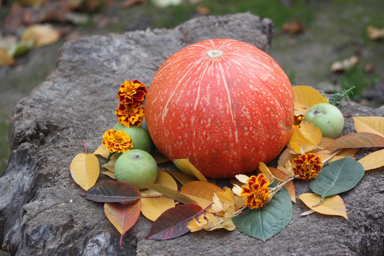 pumpkin, jesień, warzywo, smaczny, dynia, pomarańczowy