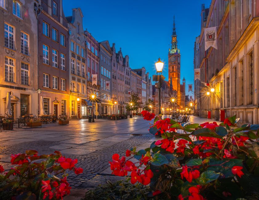 Co zjeść na obiad? Przewodnik Kulinarny Gdańsk, Długi Targ 2026