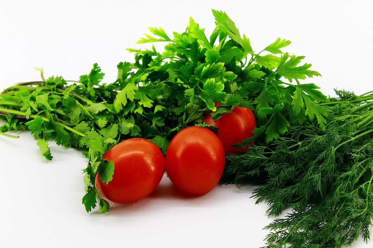 white background, zieloni, pietruszki, koperek, cilantro, tomatoes, czerwony, plum-shaped, natura, jeden, three, lie semicircle, jedzenie, vegetables, nutrition, raw, clean, sałatka, dieta, wiosna, summer, zbiór, lose weight