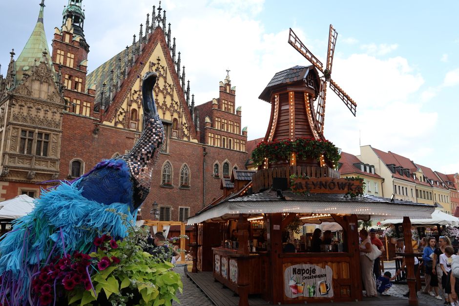Co zjeść we Wrocławiu? Lokalne smaki i gdzie ich spróbować