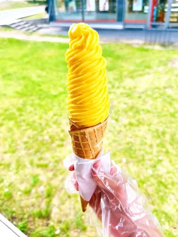 American Twister – Lody Świderki &Gofry Włocławek - Restauracja