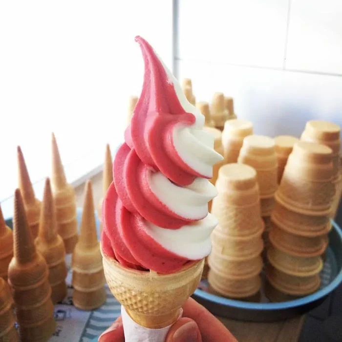 Bajs - Lody Naturalne - Restauracja Zabrze