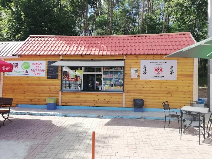 Bar pod lasem na dzikiej plaży - Restauracja Grudziądz