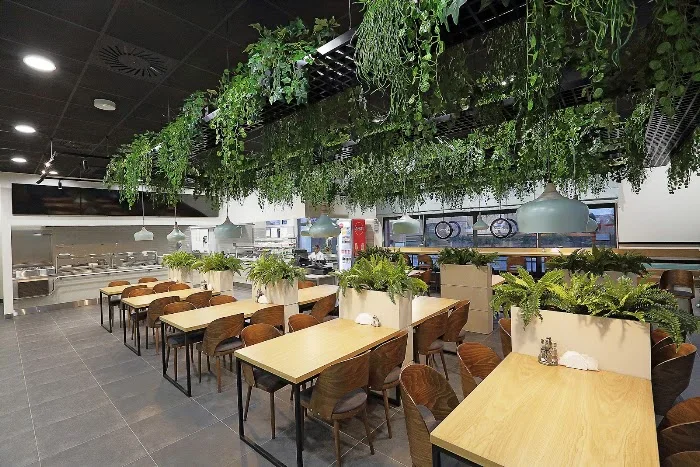Bar „Tęcza” - Białostocka Gastronomia PSS Społem Białystok - Restauracja