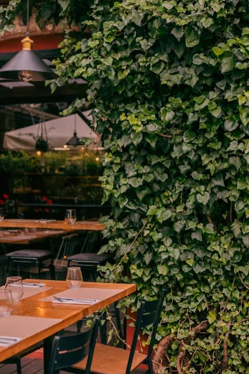 Be free - Bakery & breakfast & bistro - Restauracja Kraków