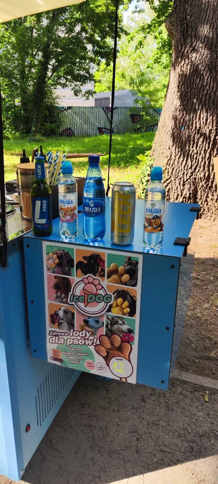 Bike Cafe Ice Cream - Lodowy Patrol | Lody rzemieślnicze, Kawa, Ice do - Restauracja Wrocław