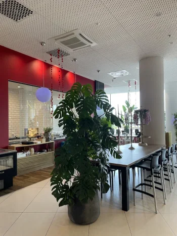 Bistro Kuchy i Qruchy Słodkie Dranie - Restauracja Gdańsk