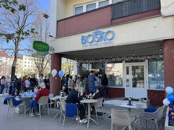 BOSKO Skwer Kościuszki - Lody Produkcji Własnej - Restauracja Gdynia