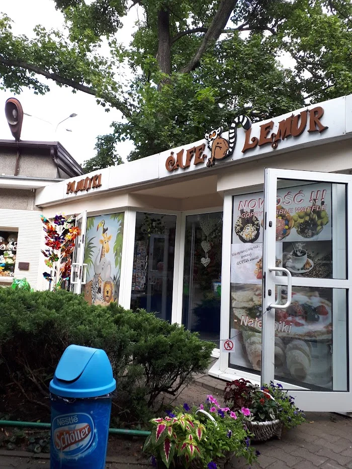 Cafe Lemur - Kawiarnia Poznań