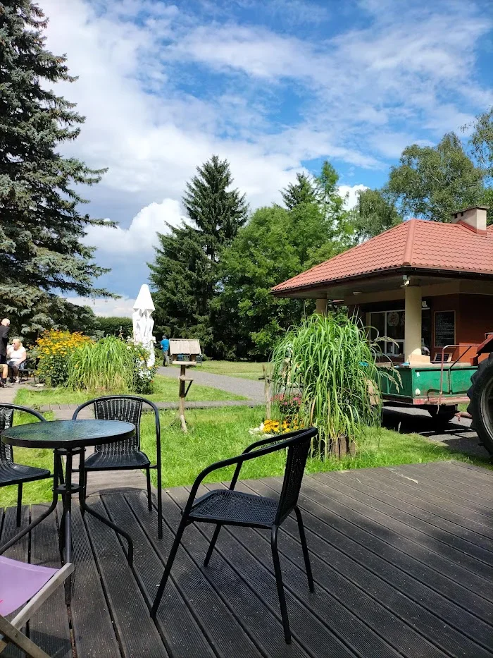 Cafe Piknik - Kawiarnia Łódź