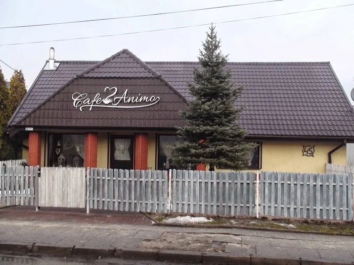 Cafeanimo - Kawiarnia Sosnowiec