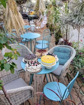 Collation & Cafe - Kawiarnia Gliwice