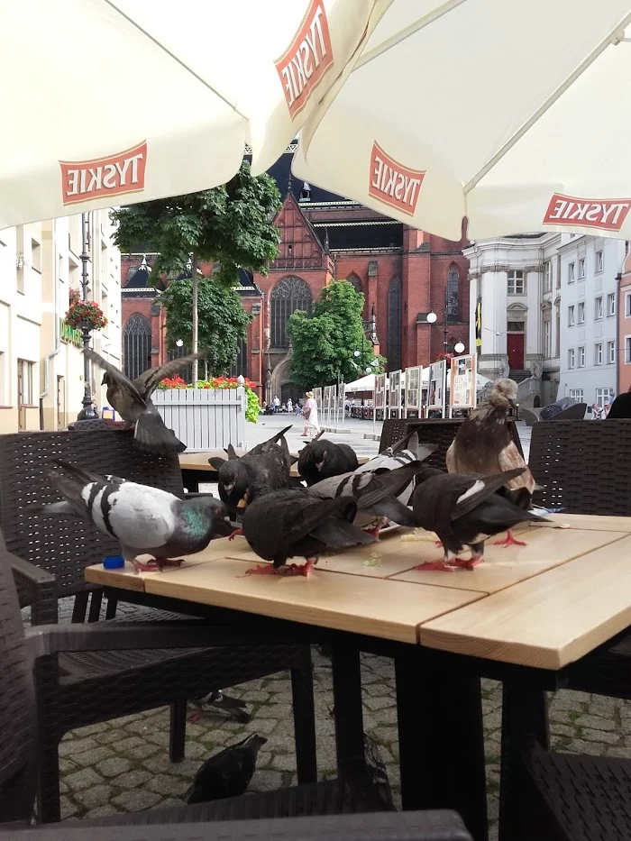 Cyrus Kebab Kurdyjska - Restauracja Legnica