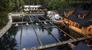 Gospodarstwo Rybackie Sitarz | Pstrąg Tatrzański - Restauracja Zakopane