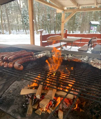 Grill Bar( stary dzik) - Restauracja Tychy