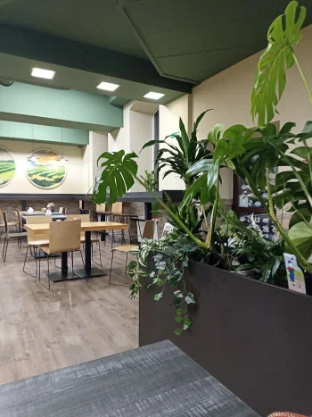 HA LONG Zgierska - Restauracja Łódź